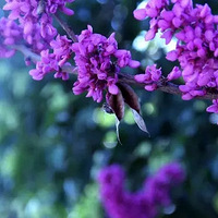 ��Խ���� | 3.25 ����Ϫת���ң�̽����ʮ��Ұ���Ͼ���