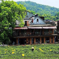����ͩ�룺����һ�������ίԱ���㼣��Ʈ�Ų������������
