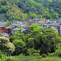 ����ͩ�룺����һ�������ίԱ���㼣��Ʈ�Ų������������