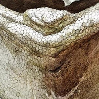 ����2018���»񽱾�΢���裬������˺���ӣ�