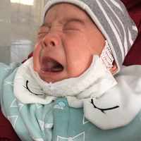 ����ʪ������Ƕ�����ʲô������