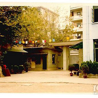 ʮ���е�����Ƭ