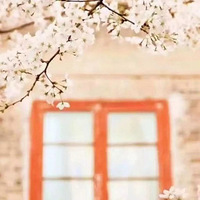 ӣ���Ļ�|��ʰ�ػ������Σ���ǽ����һ֦��