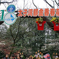 ����̺�̫����