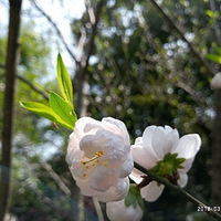 ﻨ֪