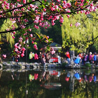 �����ͻ�