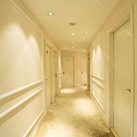 ����Ů�Ӳ����޸����ģ��������ָ�������