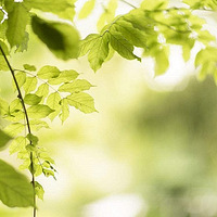 �괨neerGƤ������������ļ�������������Ҳ�ܹ��ɾ�����