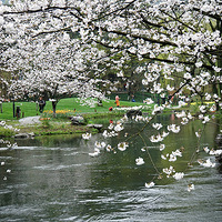 ����̺�̫���壨��Ƭ��