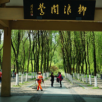 �Һ�����