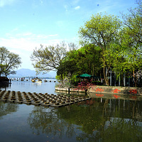 ӿ�����غ�