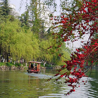 �����߶���