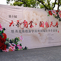 ��������  ��ɫ����