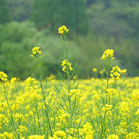 ������ �� ���ٻ����Ͳ˻�