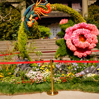 ������ĵ��