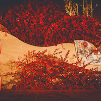 ���ݻ��칫˾���У����˱���ر����ԣ�