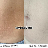 ʮ������˸����������ƾ�����û�е��Σ�������͵���������