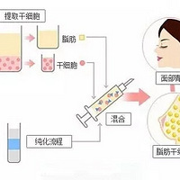 ����������֬��������������...