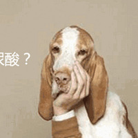 �ߵ� + ������ = Ů��