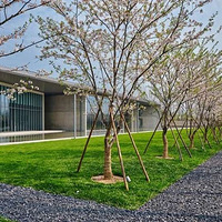 ������������ѧУ���������ݶ����µ������Ǳ�