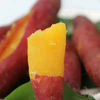 ֵ���Ƽ�����ʳŶ