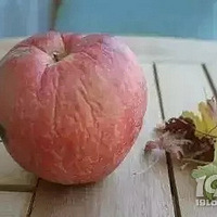 ˢ������Ȧ���ߵ��㲻��������һ����