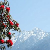 �������������е������þӵ�