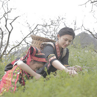 ζ��������ɫ100%