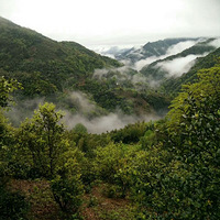 ��ɽ�̲�?���𣬴�����Ҫ��������