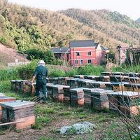 ���ۻ���