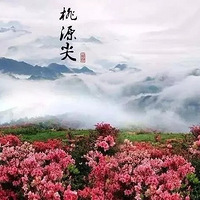 5.5��~6 ��Դ��-éɽ��-�̴к����й�����ž黨��֮һ