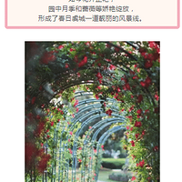 ������һ�������࣬���ں���԰�������ˣ�