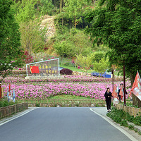 ָ�ϴ�Ĵ���