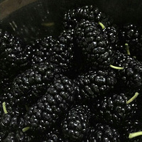 ��ɣ�صļ���ǧ���ܴ�������Ϊʱ��̫��