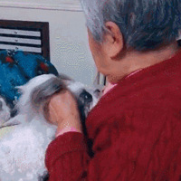 ̫ѸʩȮСӣԹϵӣŮ