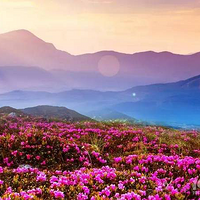 ���������˼�����