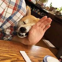 Ϊ˳ֵҪֵʲôܵ