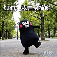 ��������˶ʿGPA�Ͳ������赲������ѧǰ���ĵ�·