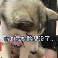 ѸС·󣬳仹Ǳˡ