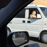 ˲Ȯÿ춼Ⱦ˭Ǹb