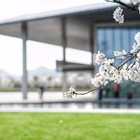 ���ݹ�������������ţ��ʦ������Լ��������УOffer�����ã�