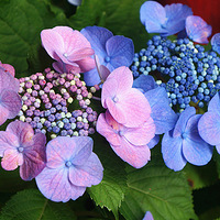 ��Լ��Ӱ �� ����