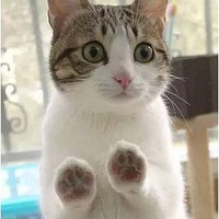 �����˰��й��ҳ���һ�죡