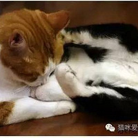 �����˵Ĳ�������Ϊ����������˼��