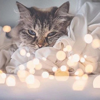 è�����ϵƣ��о��������涼����������