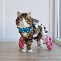 ��ֻ���Ȳм���è�䣬���Ϻ���С���κ�...