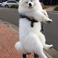 СʱҪǱȻΪԼǳϵģ