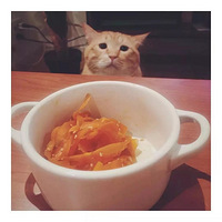 ����ǰ���С��������񡭡����ֱ�������ݰ�ĳɳ������