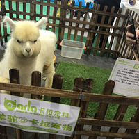 ���Ľ����ڹ��ʳ���չԲ����Ļ���ֳ�������Щ���㣿