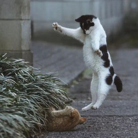 �������Ȿèд�桶ƴ��������è���ǡ�����������������ƴ��..